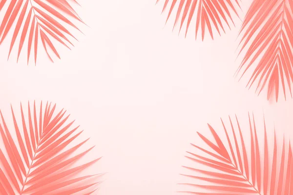 Tropische palmbladeren op trendy koraalkleurige achtergrond. Minimaal zomerconcept. Creatief plat met kopieerruimte. Bovenaanzicht groen blad op ponchy pastelpapier. Banner — Stockfoto