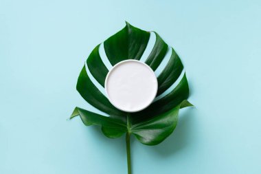 Yeşil canavar yaprağının üzerindeki nemlendirici cilt bakım kremi mavi arka planda fotokopi alanı ile. Üst Manzara. Düz yatıyordu. Kozmetik, güzellik, vücut tedavisi konsepti