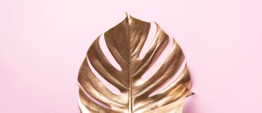 Altın boyalı tropik palmiye canavarı yaprakları son moda pembe mercan renkli arka planda. Boş alan, mesaj için yer, kopya, harf. Parlak güzellik, moda konsepti.