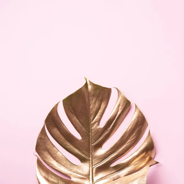 Folhas de monstera de palmeira tropical pintadas de ouro no moderno fundo de cor de coral vivo rosa. Espaço vazio, espaço para texto, cópia, letras. Beleza brilhante, conceito de moda . — Fotografia de Stock