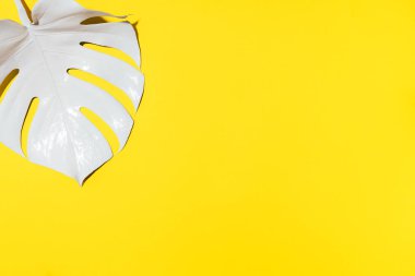 Yaz kompozisyonu. Sarı arka planda beyaz tropik palmiye yaprakları. Yaz kavramı. Düz konum, üst görünüm, kopyalama alanı