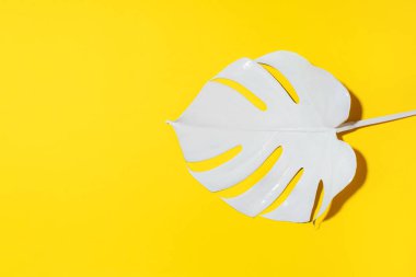 Yaz kompozisyonu. Sarı arka planda beyaz tropik palmiye yaprakları. Yaz kavramı. Düz konum, üst görünüm, kopyalama alanı