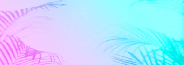 Concepto de viaje de verano. Sombra de hojas de palma exóticas, colores neón de moda. Fondo de gradiente de arco iris con espacio de copia. Banner — Foto de Stock