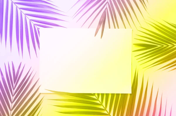 Foglie di palma tropicale in colori neon alla moda. Sfondo gradiente arcobaleno. Copia lo spazio con carta di credito. Concetto estivo minimo. Disposizione creativa. Vista dall'alto, piatta . — Foto Stock