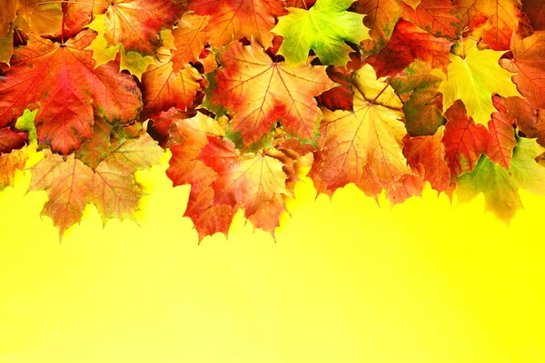 Zlatý podzimní koncept. Slunečný den, teplé počasí. Červené, oranžové a zelené javorové listy na žlutém pozadí. Horní pohled. Nápis — Stock fotografie