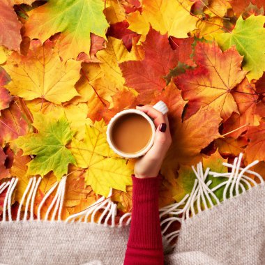 Sonbahar yatağı. Renkli akçaağaç yapraklarının üzerinde kahve fincanı olan kadın eller. Üst Manzara. Sezon konsepti