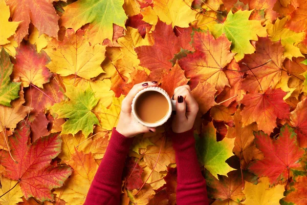 Herbstflach lag. Frauenhände mit einer Tasse Kaffee über bunten Ahornblättern im Hintergrund. Ansicht von oben. Herbstliches Saisonkonzept — Stockfoto