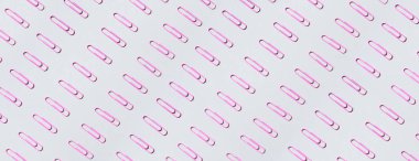 Pastel gri arka planda pembe ataçlar. Üst manzara, düz yatış. Okul konseptine geri dönelim. Üniversite, enstitü eğitimi, ofis işi