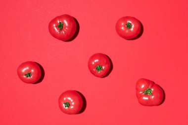 Kırmızı arka planda kırmızı domates deseni. Düz yerde, üst tarafta. Yaz asgari konsepti. Vejetaryen ve vejetaryen diyeti