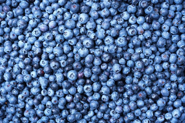 Macro texture of blueberry berries close up. Border design. Summer, vitamin, vegan, vegetarian concept. Healthy food. Fresh blueberries background with copy space for your text — Stock Photo, Image