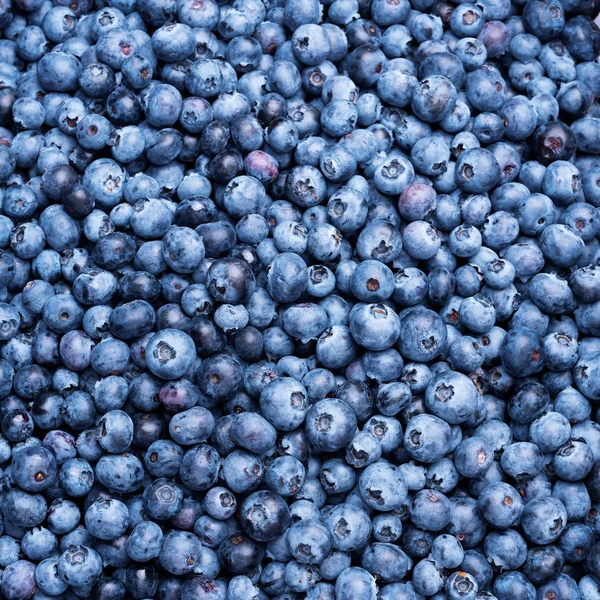 La textura macro de las bayas de arándano se cierra. Diseño fronterizo. Verano, vitamina, vegano, concepto vegetariano. Comida saludable. Fondo de arándanos frescos con espacio de copia para su texto — Foto de Stock