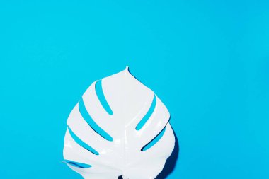 Yaz kompozisyonu. Mavi arka planda beyaz tropik palmiye yaprakları. Yaz kavramı. Düz konum, üst görünüm, kopyalama alanı