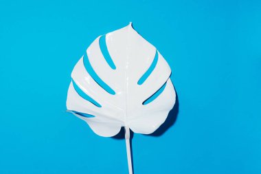 Yaz kompozisyonu. Mavi arka planda beyaz tropik palmiye yaprakları. Yaz kavramı. Düz konum, üst görünüm, kopyalama alanı