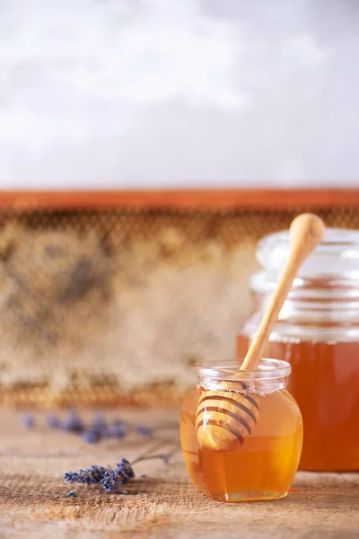 Травяной мед с цветами лаванды, гранулы пчелиной пыльцы, медовый конб на сером фоне. Концепция осеннего сбора — стоковое фото
