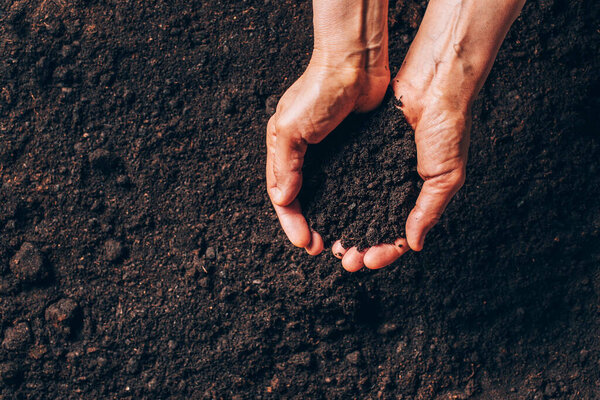 Dirty woman hands holding dark moist soil. Agriculture, organic gardening, planting or ecology concept. Environmental, earth day. Banner. Top view. Copy space. Farmer checking before sowing.