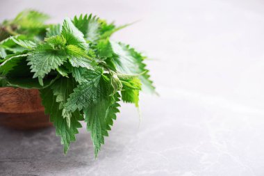 Isırgan otu, urtica. Gri arka planda yeşil ısırgan otu yaprakları ahşap kapta. Alternatif bitkisel ilaç. Cilt alerjisi bakımı. Naturopati, bütünsel konsept.