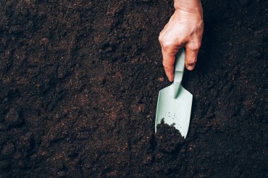 Toprak zemin üzerinde elinde ahır tutuyordu. Tarım, organik bahçe, ekme ya da ekoloji konsepti