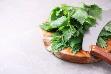 Isırgan otu, urtica. Gri arka planda yeşil ısırgan otu yaprakları ahşap kapta. Alternatif bitkisel ilaç. Cilt alerjisi bakımı. Naturopati, bütünsel konsept.