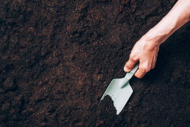 Toprak zemin üzerinde elinde ahır tutuyordu. Tarım, organik bahçe, ekme ya da ekoloji konsepti