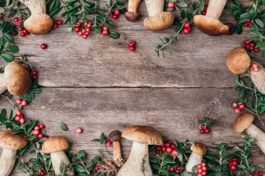 Ahşap arka planda kırmızı yabanmersini ve boletus edulis mantarı. Uzayı kopyala Üst Manzara. Organik orman yiyeceği, yenilebilir taze Porcini mantarı. Sonbahar hasat konsepti. Cep mantarı toplama.