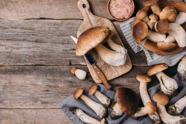 Sonbahar hasat konsepti. Sepette taze toplanmış Porcini mantarı. Ahşap arka planda taze orman mantarları. Üst Manzara. Boşluğu kopyala