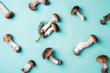 Mavi arka planda orman mantarları. Üst Manzara. Yaratıcı yemek kalıbı. Uzayı kopyala Sonbahar hasat konsepti. Taze toplanmış Porcini mantarları ve metnin için yer.