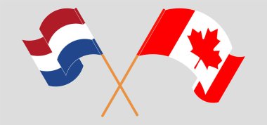 Kanada ve Hollanda 'nın çapraz ve dalgalı bayrakları