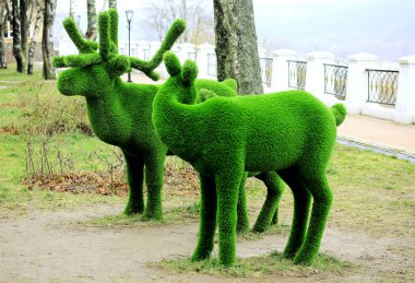 Testis taşı. Geyikler çalılıklardan yaratıldı