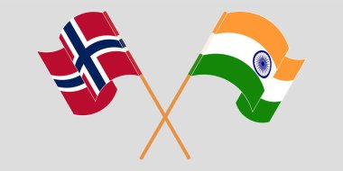 Çapraz ve sallanan Norveç ve Hindistan bayrakları