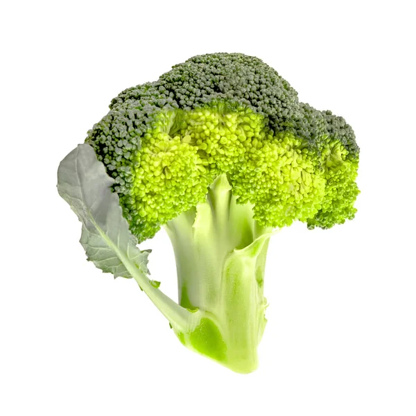 Een Groene Broccoli Kool Tak Geïsoleerd Wit Met Uitknippad Gezonde — Stockfoto