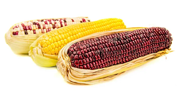 Tres mazorcas de maíz diferentes aisladas en blanco — Foto de Stock