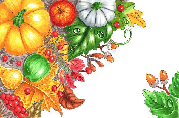 Осенний Урожай Листьями Фруктами Овощами Ручной Рисунок Маркерами — стоковое фото