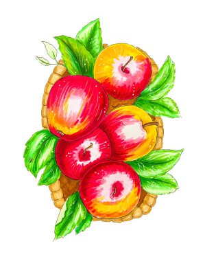 Beyaz ahşap sepet izole yukarıdan elma çizilen illüstrasyon el