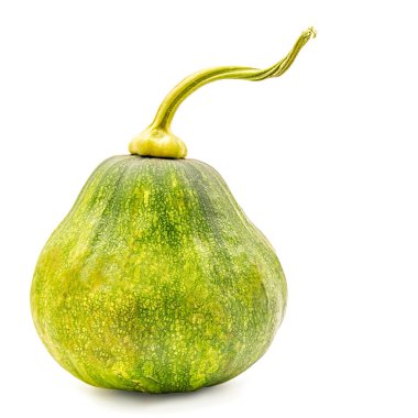 izole kırpma yolu beyaz zemin üzerine yeşil kabak