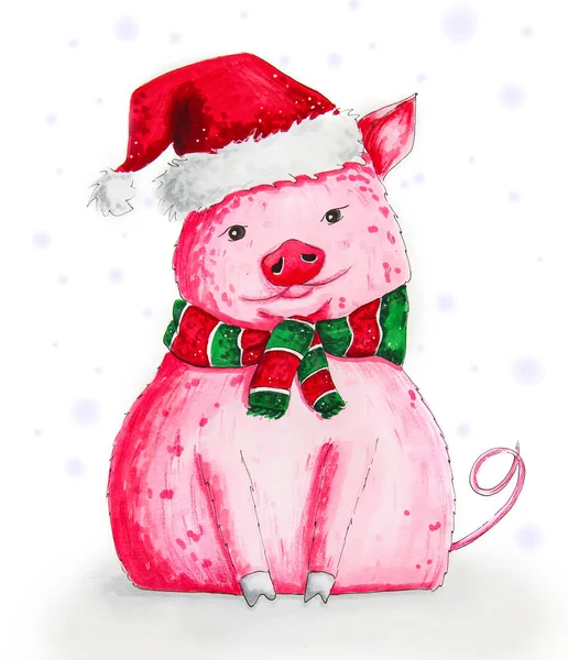 Cute cartoon pig in santas hat and striped scarf isolated onwhite hand drawn marker illustration — Stock Photo, Image