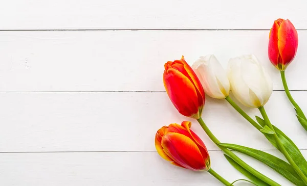Bellissimi tulipani rossi e bianchi su sfondo in legno vista dall'alto — Foto Stock