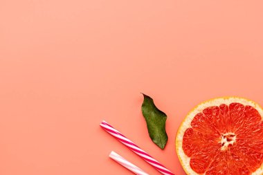 Greyfurt dilim ve kopya alanı ile pembe arka plan üzerinde uçan kuştan içme. En az kavramı