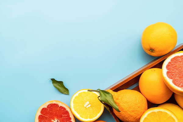 Various citrus fruit on blue background top view with copy space