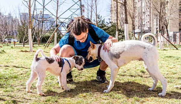 Glücklicher junger Mann tätschelt zwei Hunde im Stadtpark an einem sonnigen Tag — Stockfoto