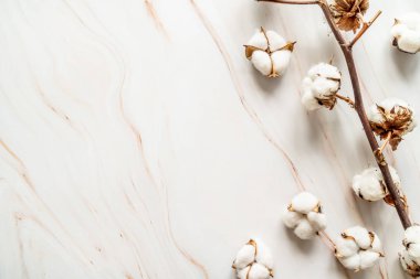 Gri mermer arka plan düz üzerinde pamuk çiçekler üst görünümü yatıyordu