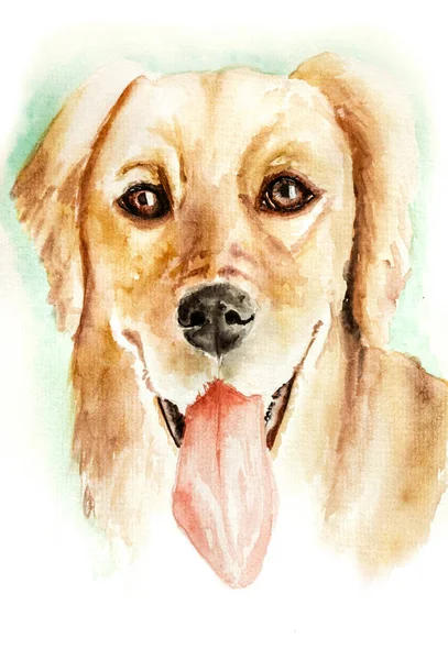 Ilustração aquarela do cão labrador retriever isolado em branco — Fotografia de Stock