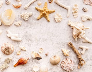 gri mermer arka plan üst görünüm düz yatıyordu üzerinde deniz kabukları