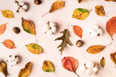 Pamuk, sonbahar yaprakları ve holly beyaz mermer arka plan üzerinde dağınık yaprakları