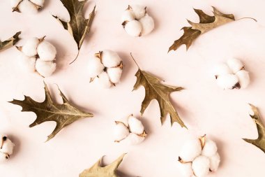 Pamuk ve holly beyaz mermer arka plan üzerinde dağınık yaprakları
