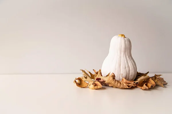 Kopya alanı ile beyaz masa üzerinde kuru sonbahar yaprakları kazık üzerinde altın saplı modern beyaz renkli kabak