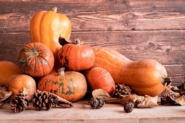 Kabaklar, kuru yapraklar ve çam kozalağı ile sonbahar natürmortu