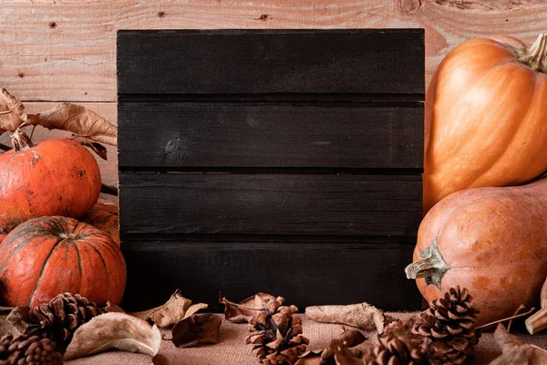 Sinal de madeira preto com pilha de abóboras e pinhas — Fotografia de Stock