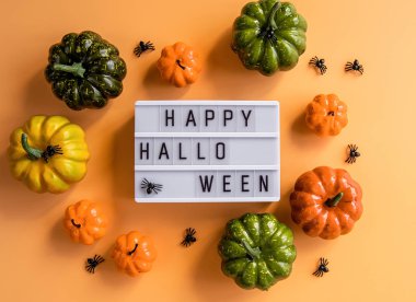 turuncu arka plan üzerinde örümcekler ve kabaklar üst görünümü ile mutlu cadılar bayramı sinema lightbox