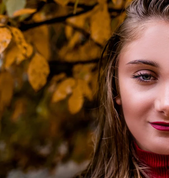 Bellissimo viso di una donna su sfondo foglie autunno con spazio copia — Foto Stock