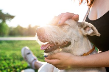 Genç ve çekici bir kadın parkta köpeğine sarılıyor.